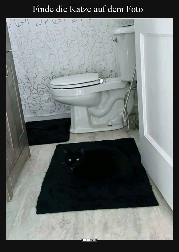 Finde die Katze auf dem Foto