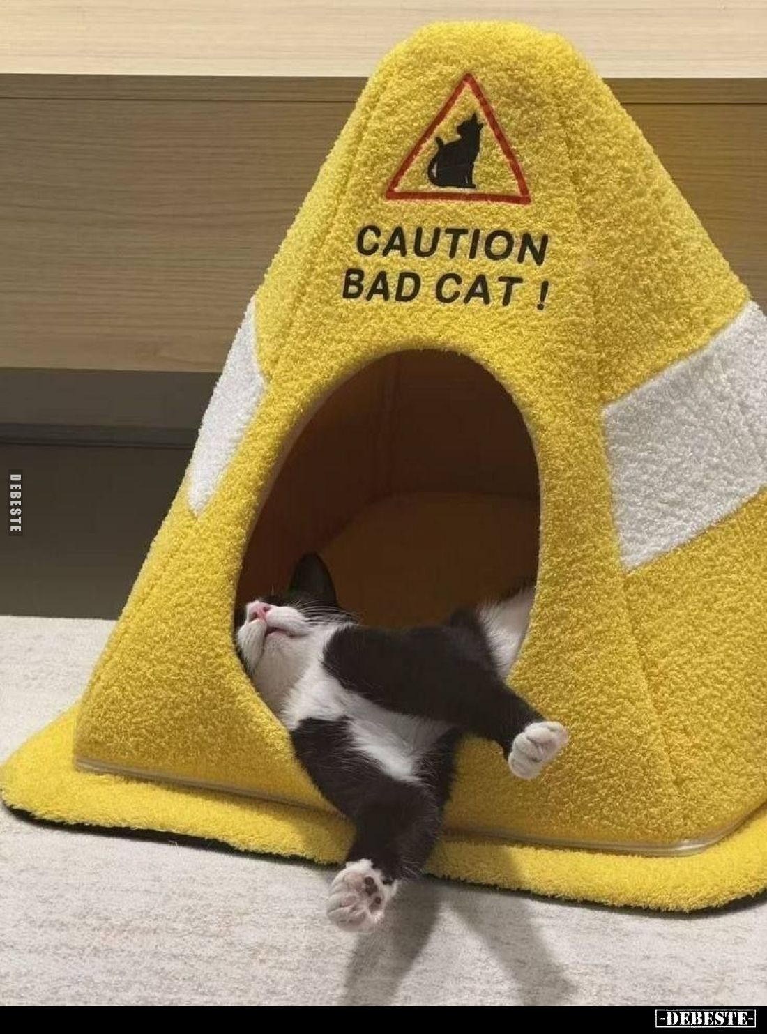 CAUTION BAD CAT!