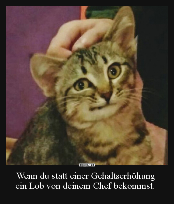 Wenn du statt einer Gehaltserhöhung ein Lob von deinem..