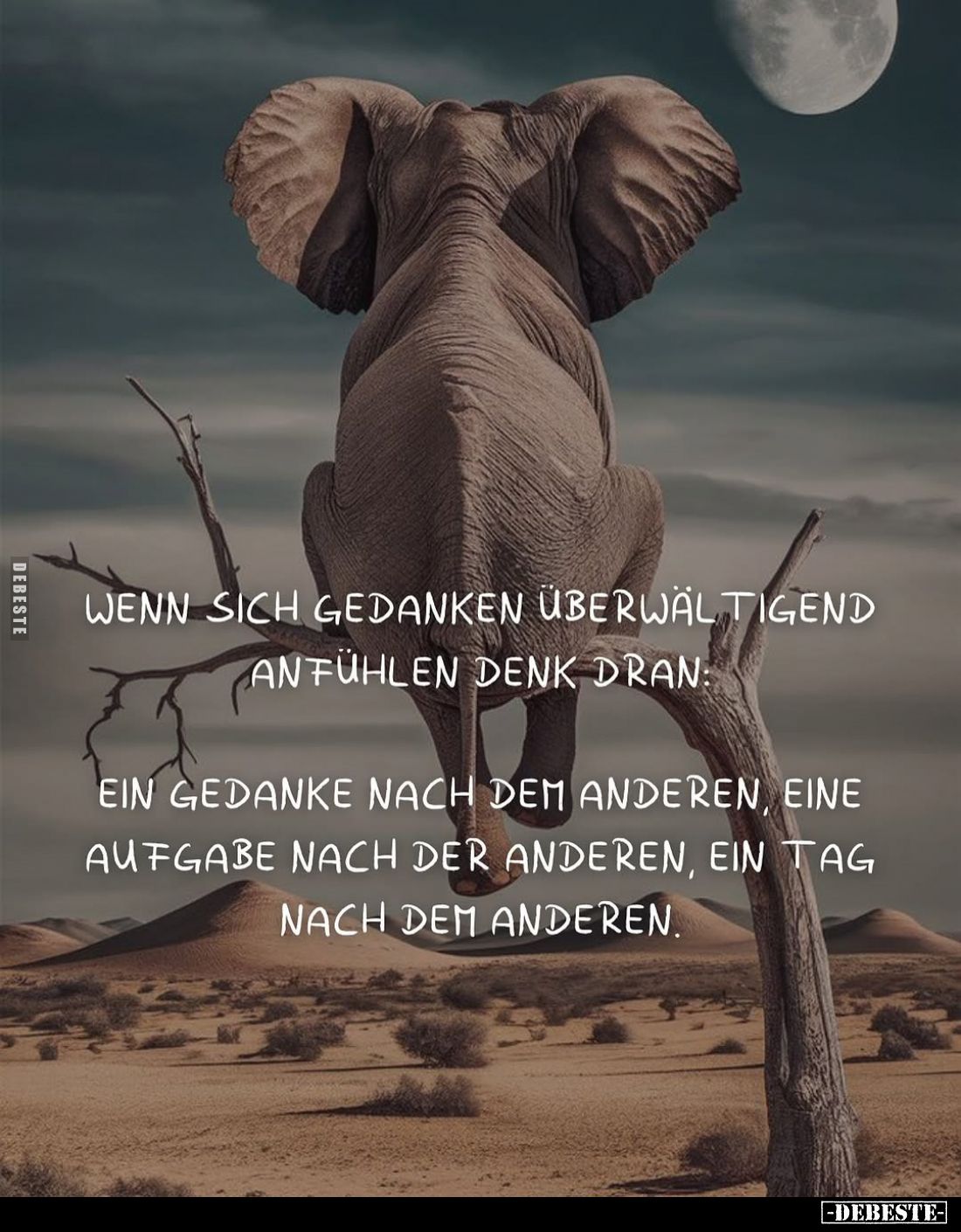 Wenn sich Gedanken überwältigend anfühlen denk dran:
Ein Gedanke nach dem anderen, eine Aufgabe nach der anderen, ein Tag na...