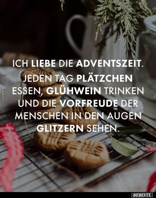 Ich liebe die Adventszeit. Jeden Tag Plätzchen essen.. - Lustige Bilder | DEBESTE.de