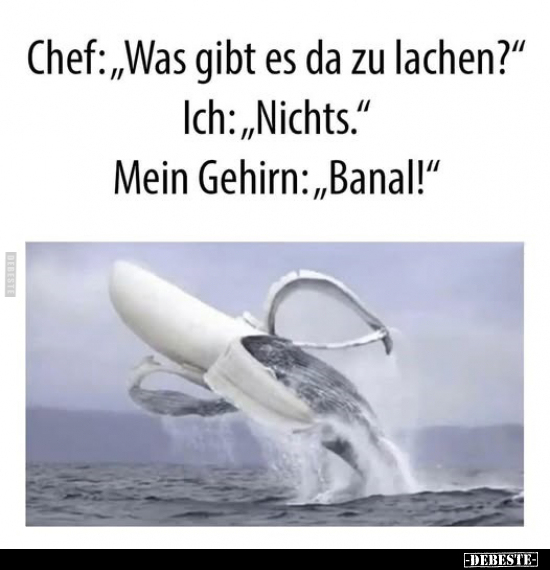 Chef, Gehirn