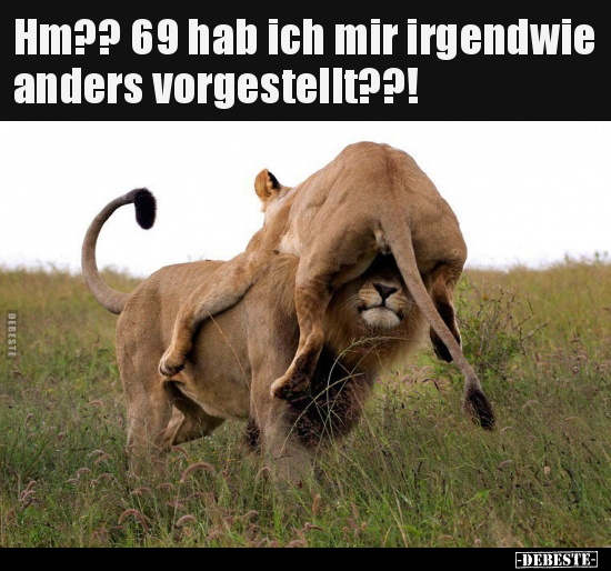 Hm?? 69 hab ich mir irgendwie anders vorgestellt??!.. - Lustige Bilder | DEBESTE.de