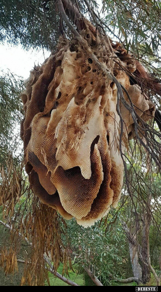  - Lustige Bilder | DEBESTE.de