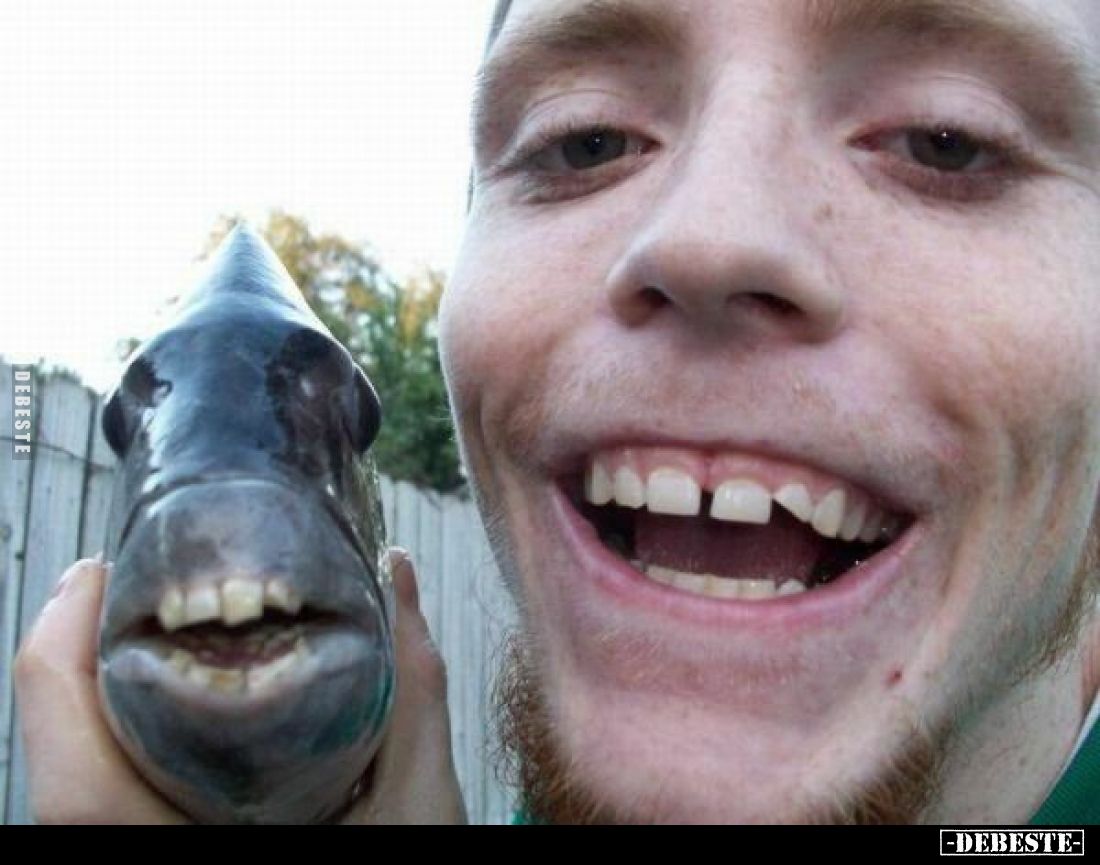  - Lustige Bilder | DEBESTE.de