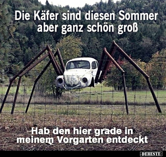 Die Käfer sind diesen Sommer aber ganz schön groß.. - DEBESTE.de