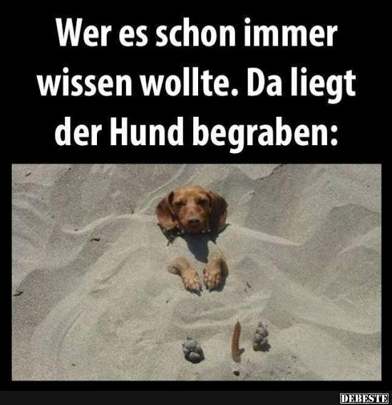 Wer es schon immer wissen wollte..