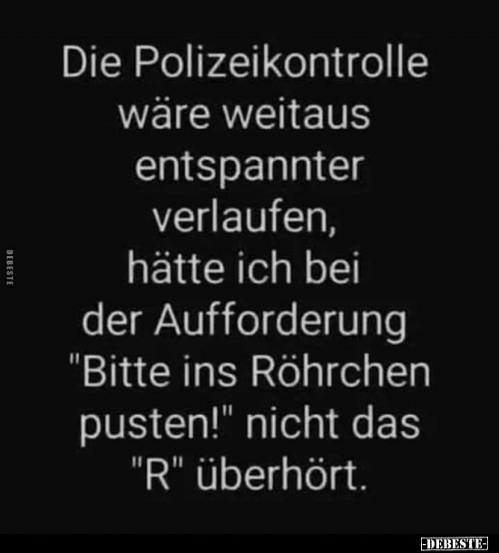 Die Polizeikontrolle wäre weltaus entspannter verlaufen.. - Lustige Bilder | DEBESTE.de