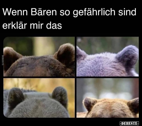 Wenn Bären so gefährlich sind erklär mir das.. - Lustige Bilder | DEBESTE.de