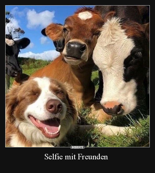 Selfie mit Freunden.. - Lustige Bilder | DEBESTE.de