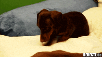 Erst mal bequem machen..