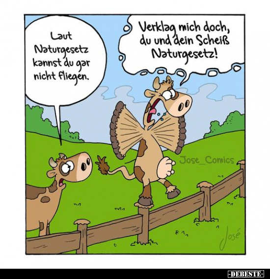 Laut Naturgesetz kannst du gar nicht fliegen... - Lustige Bilder | DEBESTE.de