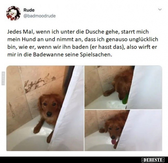 Jedes Mal, wenn ich unter die Dusche gehe, starrt mich mein.. - Lustige Bilder | DEBESTE.de