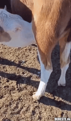 Infinity-Milch. - Lustige Bilder | DEBESTE.de