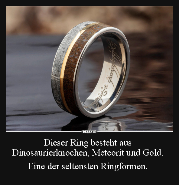 Dieser Ring besteht aus Dinosaurierknochen, Meteorit und.. - Lustige Bilder | DEBESTE.de