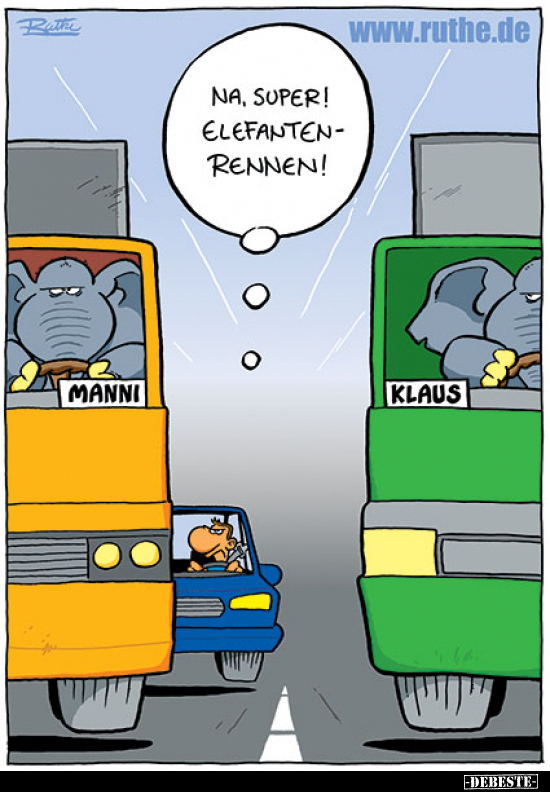 Na, super! Elefantenrennen!.. - Lustige Bilder | DEBESTE.de