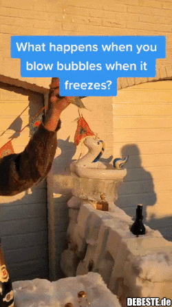 Das passiert, wenn du in der Kälte eine Luftblase machst... - Lustige Bilder | DEBESTE.de