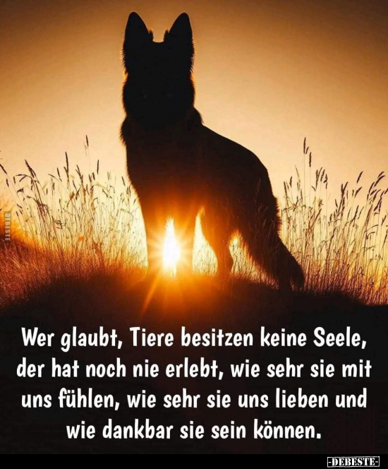 Wer glaubt, Tiere besitzen keine Seele.. - Lustige Bilder | DEBESTE.de