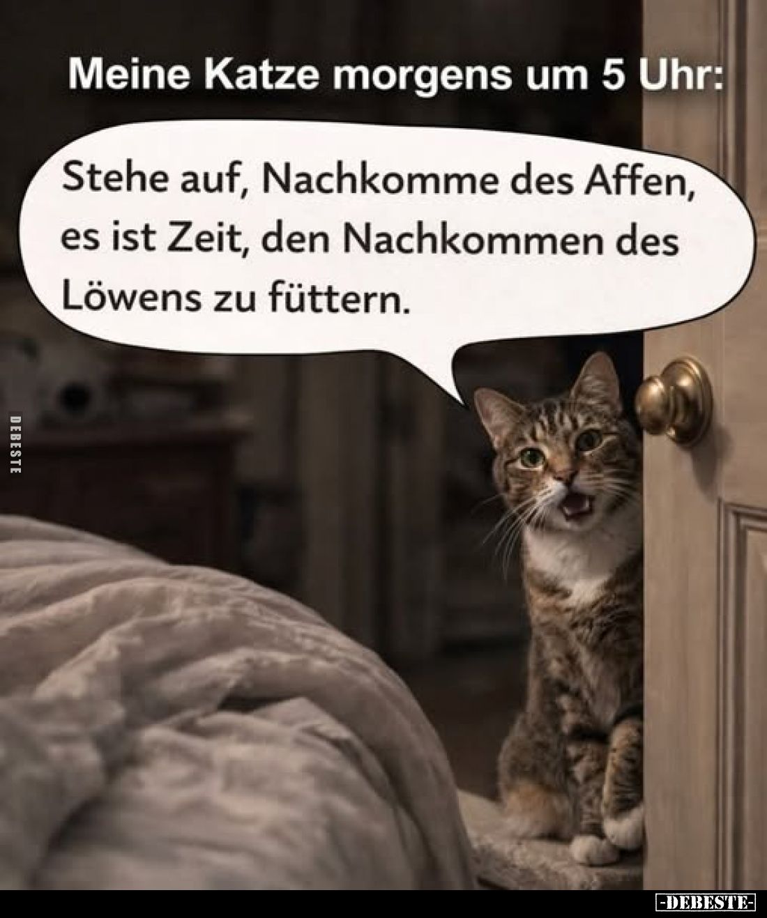 Meine Katze morgens um 5 Uhr: Stehe auf, Nachkomme des.. - Lustige Bilder | DEBESTE.de
