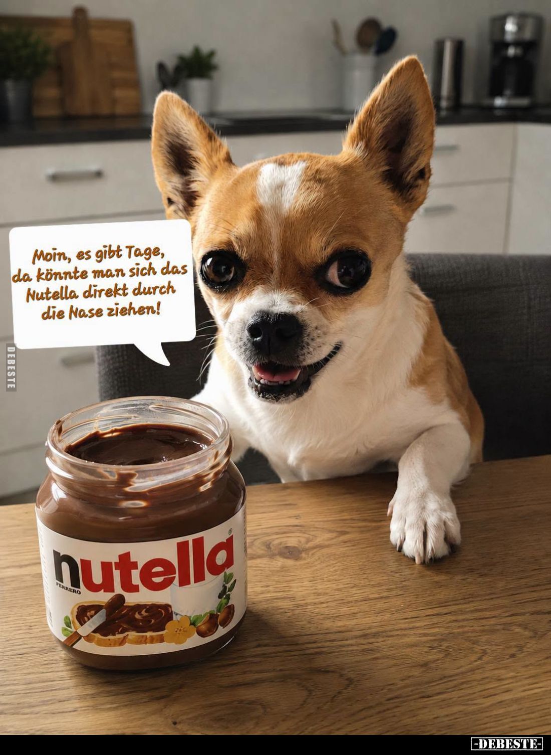 Moin, es gibt Tage, da könnte man sich das Nutella direkt durch die Nase ziehen!