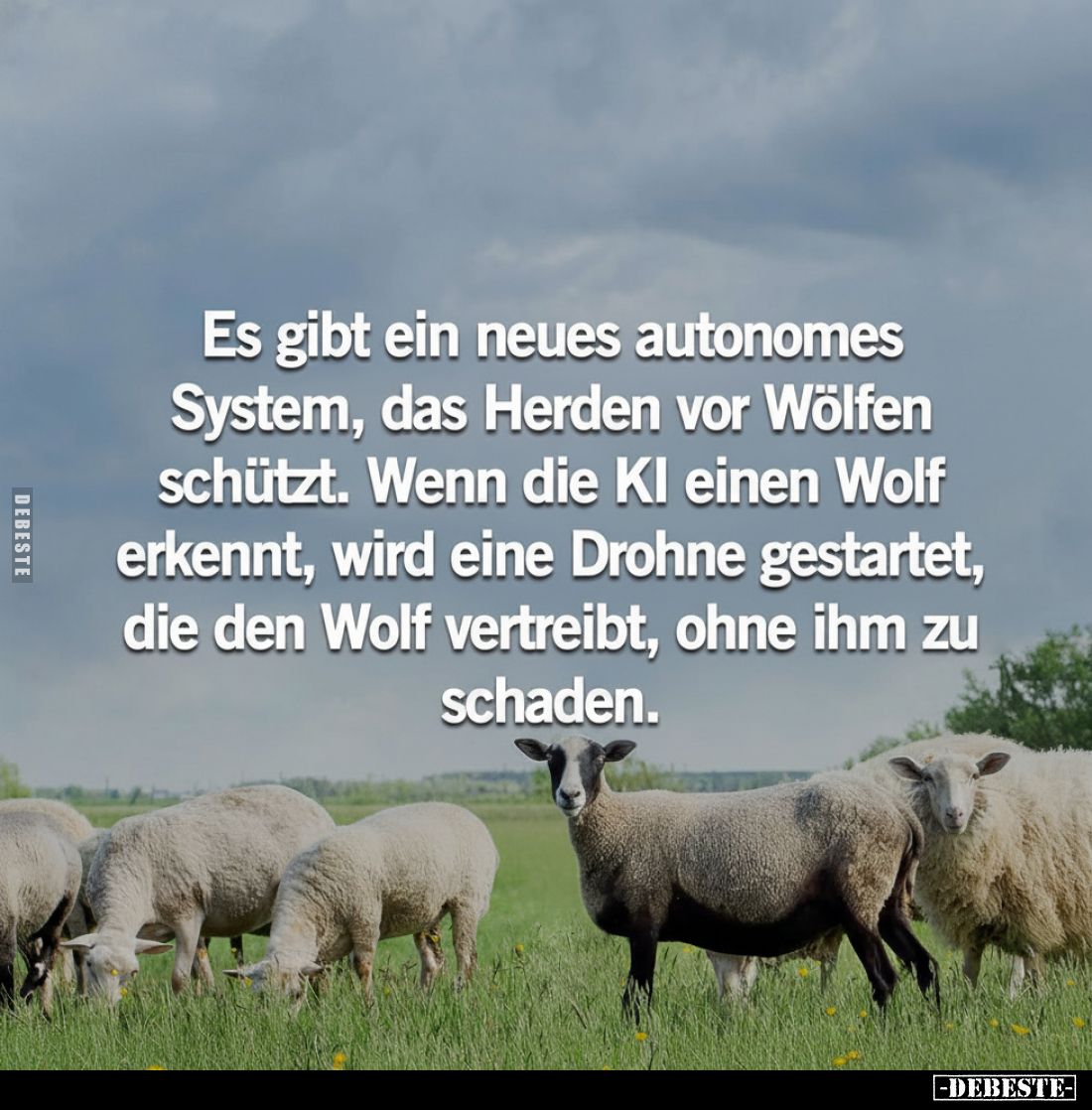 Es gibt ein neues autonomes System, das Herden vor Wölfen.. - Lustige Bilder | DEBESTE.de