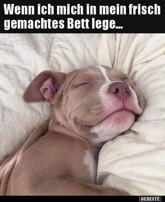 Wenn ich mich in mein frisch gemachtes Bett lege...