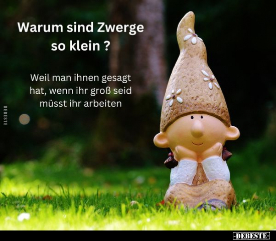 Warum sind Zwerge so klein?.. - Lustige Bilder | DEBESTE.de