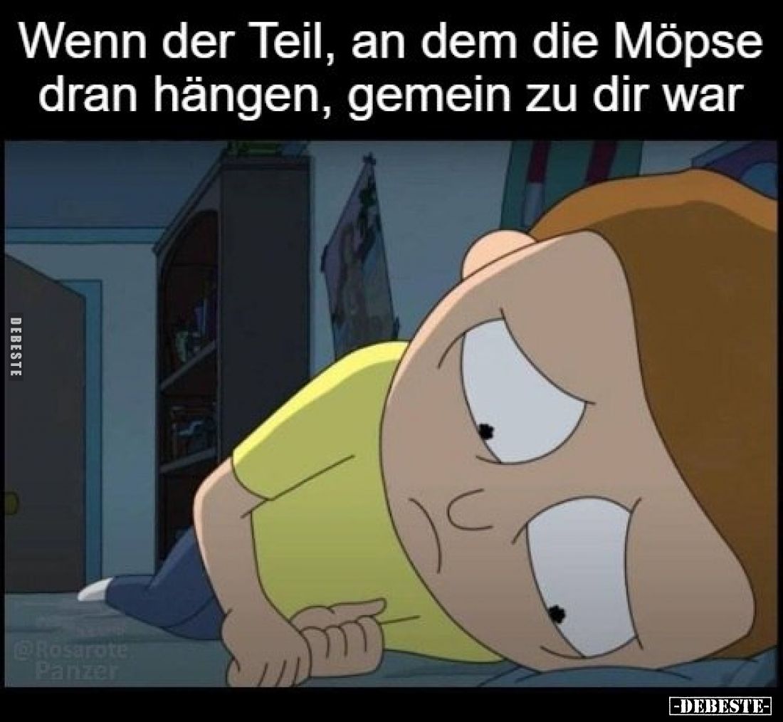 Wenn der Teil, an dem die Möpse dran hängen, gemein zu dir war