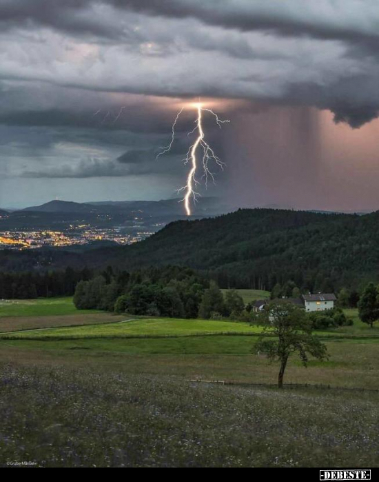  - Lustige Bilder | DEBESTE.de