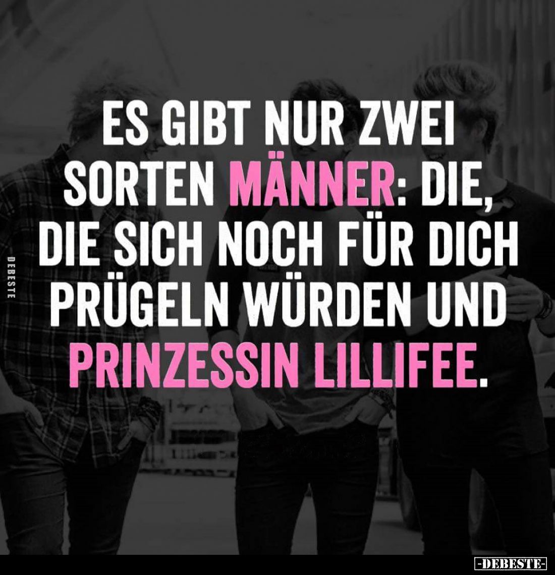 Es gibt nur zwei Sorten Männer: Die, die sich noch für dich prügeln würden und Prinzessin Lillifee.