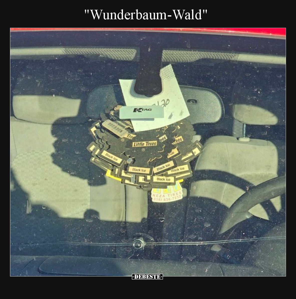 "Wunderbaum-Wald"