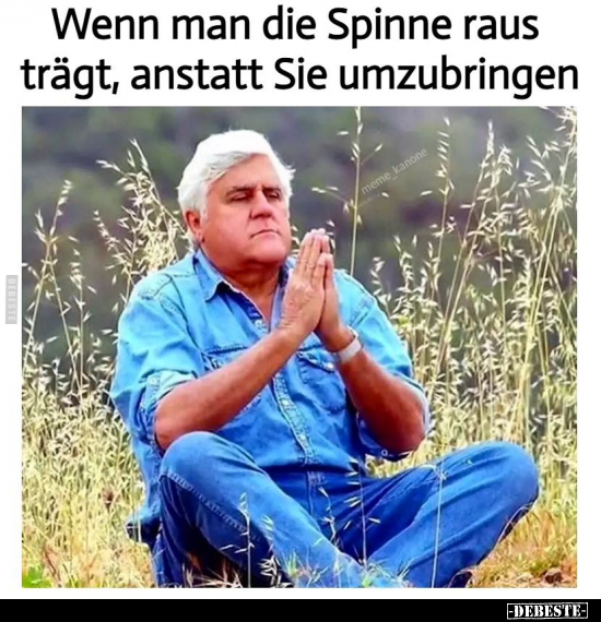 Wenn man die Spinne raus trägt, anstatt Sie umzubringen.. - Lustige Bilder | DEBESTE.de