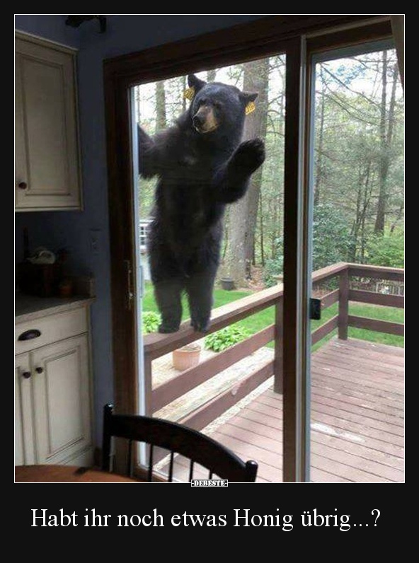 Habt ihr noch etwas Honig übrig...?