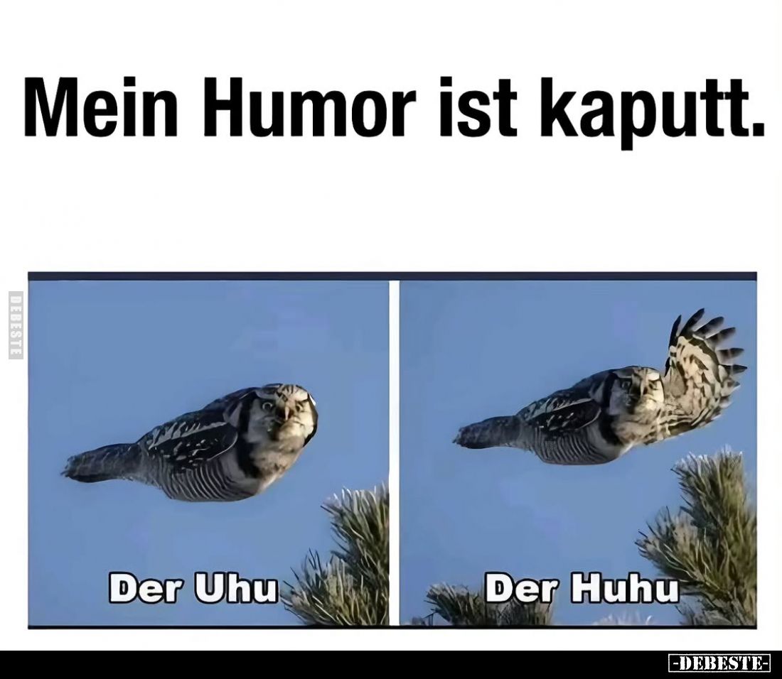 Mein Humor ist kaputt.. - Lustige Bilder | DEBESTE.de