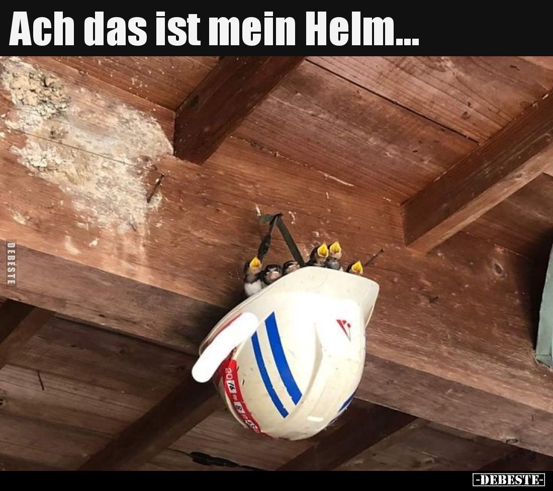 Ach das ist mein Helm... - Lustige Bilder | DEBESTE.de