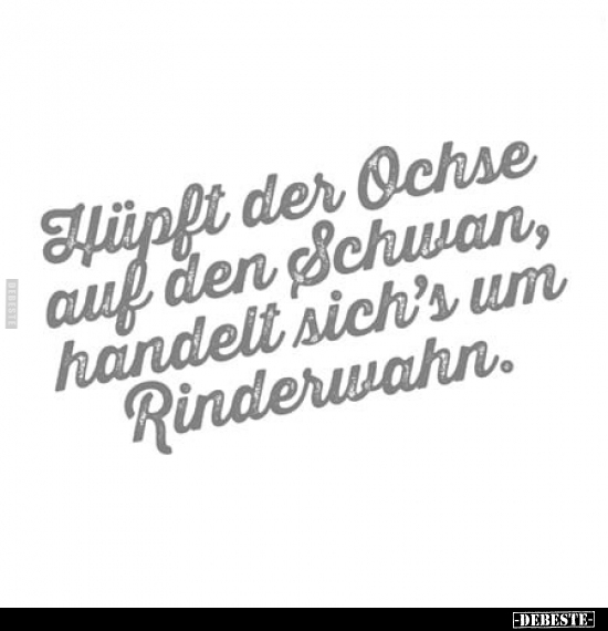 Hüpft der Ochse auf den Schwan.. - Lustige Bilder | DEBESTE.de