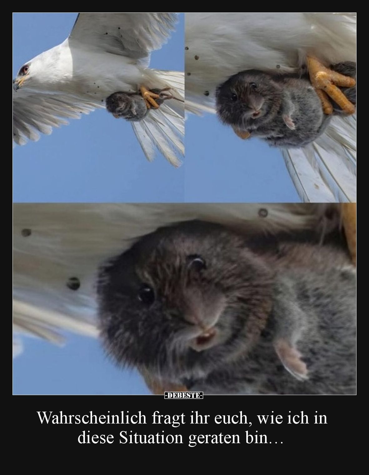 Wahrscheinlich fragt ihr euch, wie ich in diese Situation geraten bin…