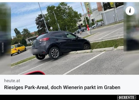 Riesiges Park-Areal, doch Wienerin parkt im Graben.. - Lustige Bilder | DEBESTE.de