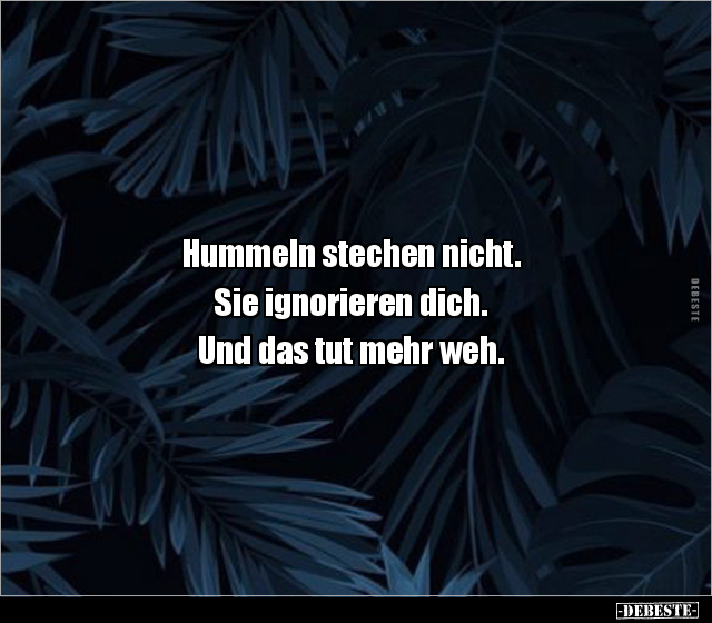 Hummeln stechen nicht. Sie ignorieren dich. Und das tut.. - Lustige Bilder | DEBESTE.de