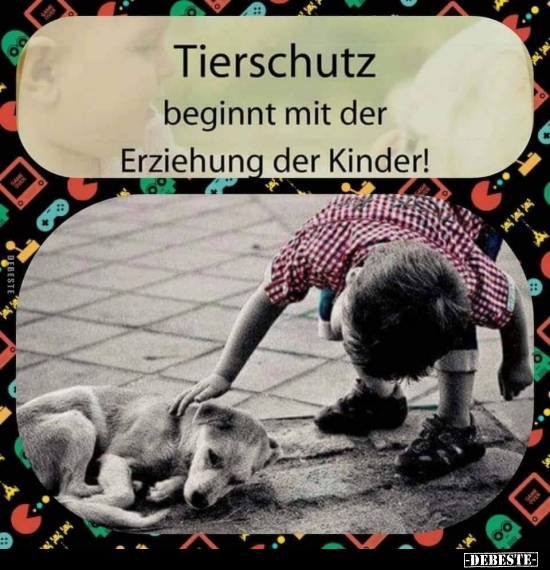 Tierschutz beginnt mit der Erziehung der Kinder!.. - Lustige Bilder | DEBESTE.de