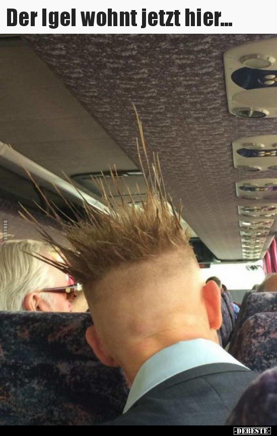 Der Igel wohnt jetzt hier...