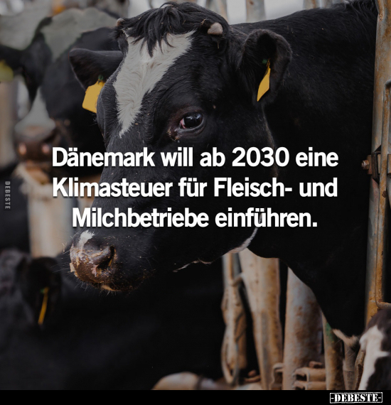 Dänemark will ab 2030 eine Klimasteuer für.. - Lustige Bilder | DEBESTE.de