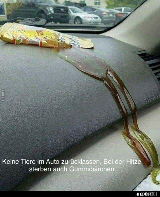 Keine Tiere im Auto zurücklassen. Bei der Hitze sterben auch Gummibärchen. - Lustige Bilder | DEBESTE.de