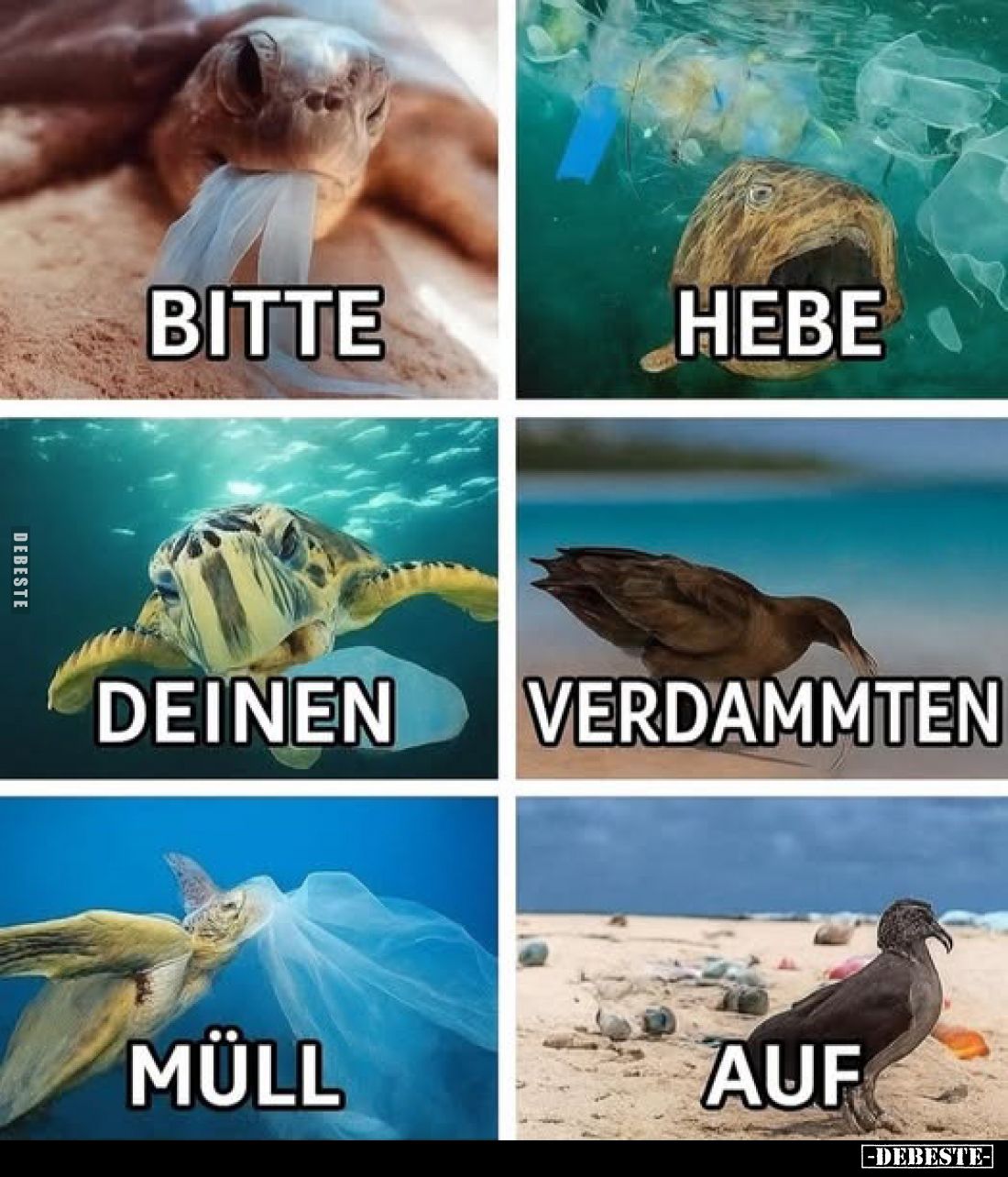 Bitte
hebe
deinen
verdammten
Müll
auf