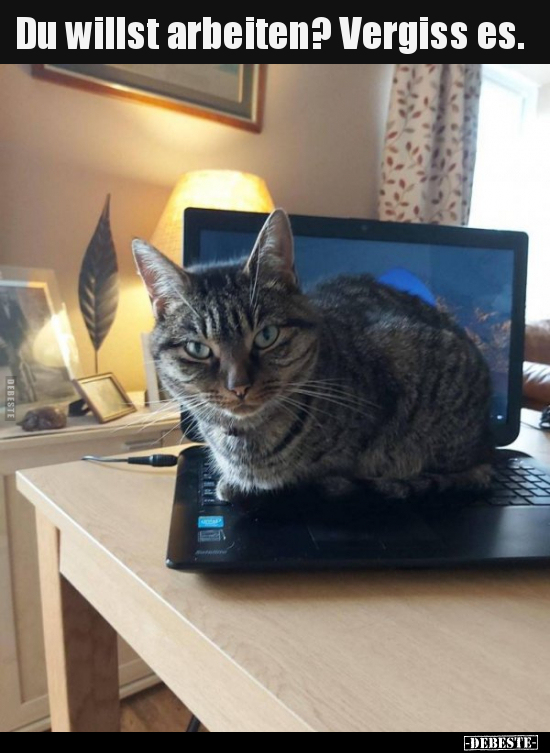 Du willst arbeiten? Vergiss es...