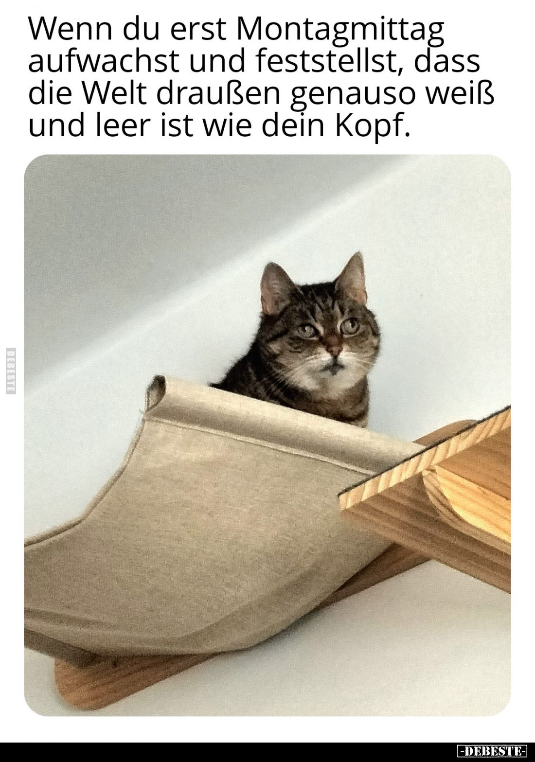 Wenn du erst Montagmittag aufwachst und feststellst, dass die Welt draußen genauso weiß und leer ist wie dein Kopf.