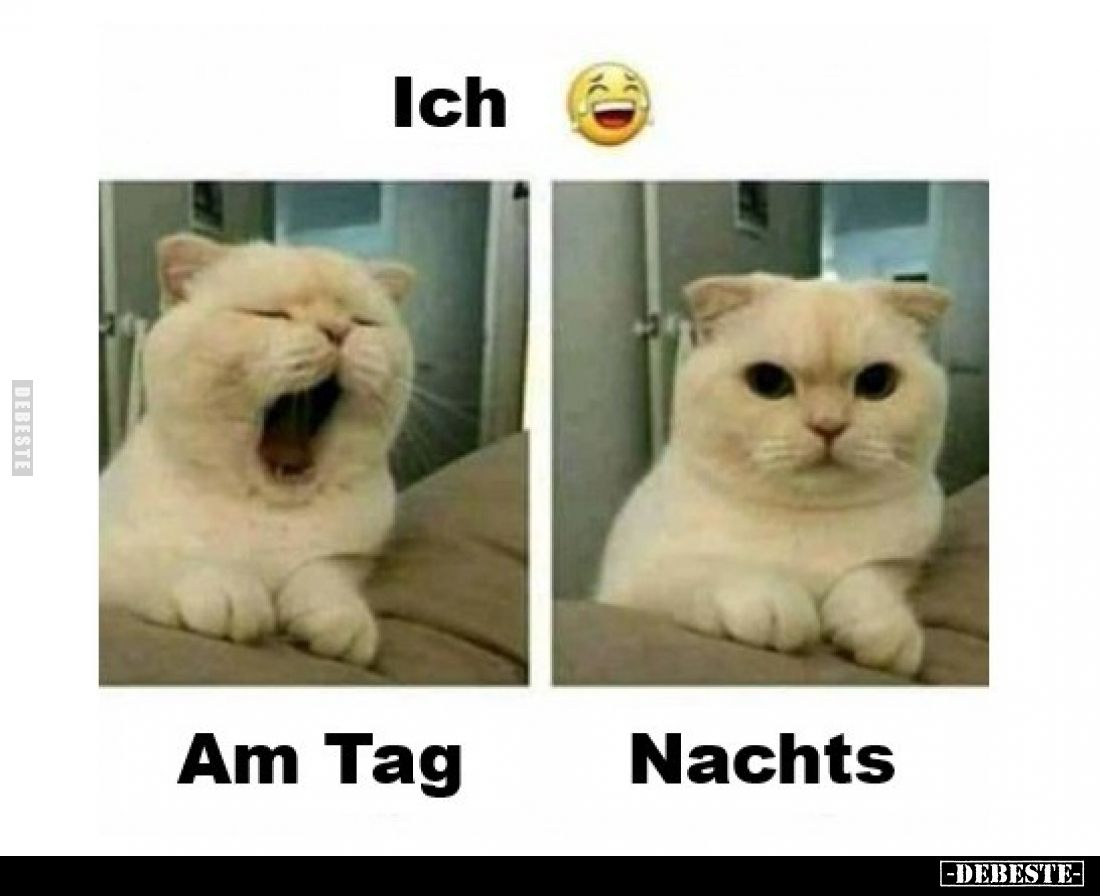 Ich: Am Tag / Nachts
