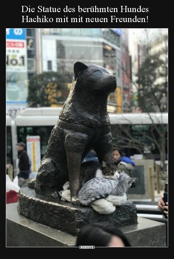 Die Statue des berühmten Hundes Hachiko mit mit neuen.. - Lustige Bilder | DEBESTE.de