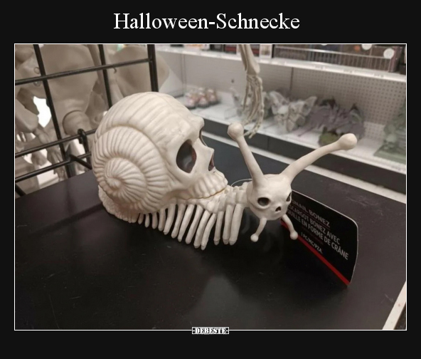 Halloween-Schnecke.. - Lustige Bilder | DEBESTE.de