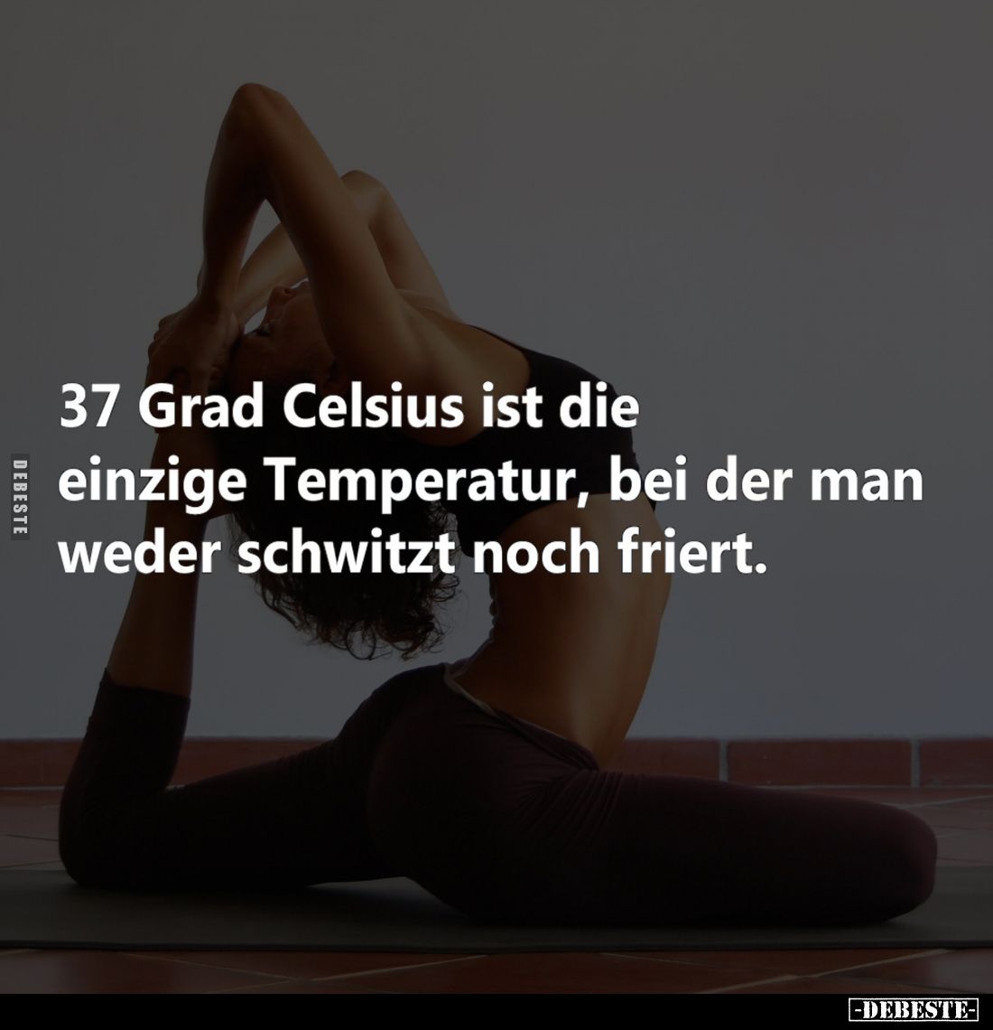 37 Grad Celsius ist die einzige Temperatur, bei der man weder schwitzt noch friert.